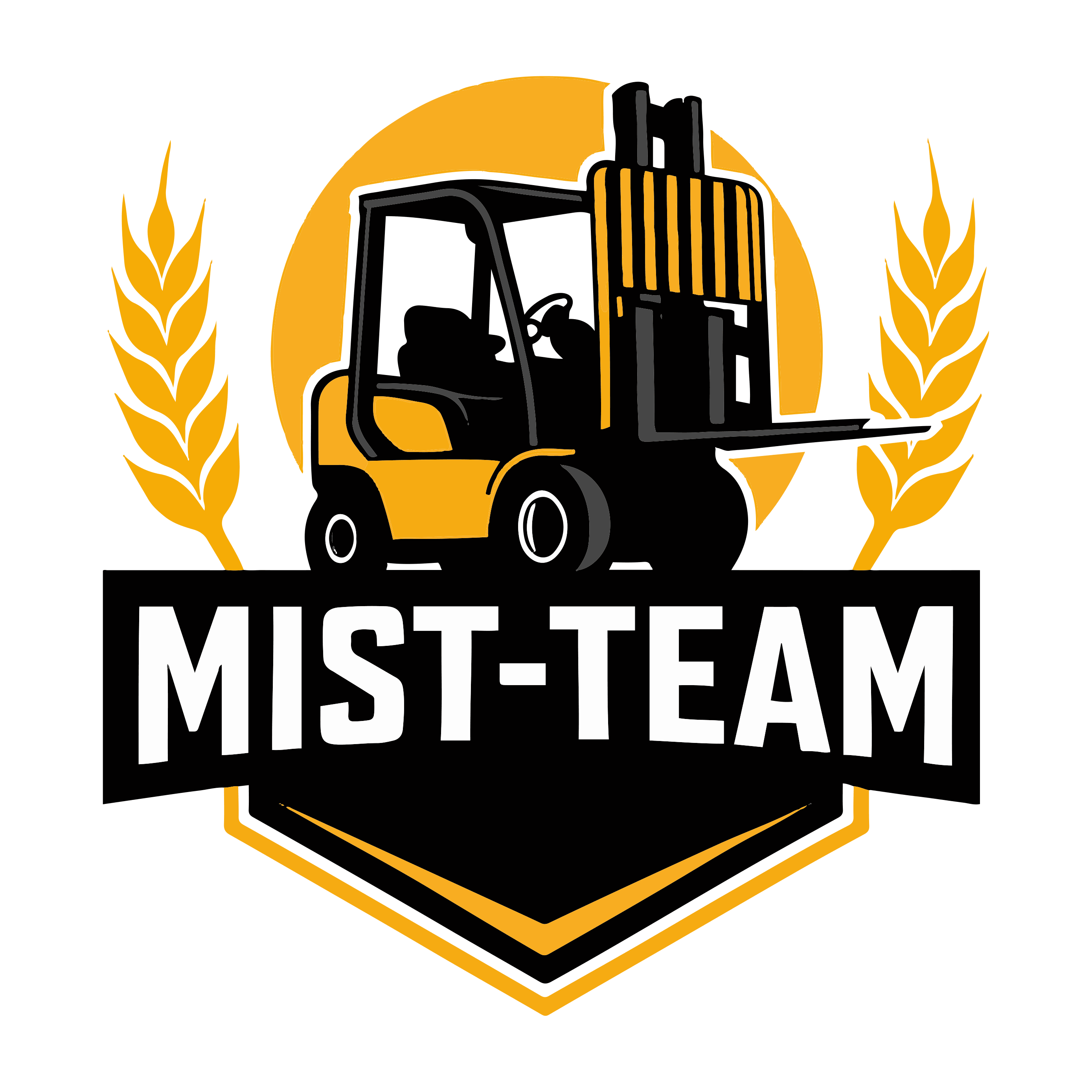 MISTTeam